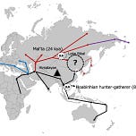Anthropology.net
