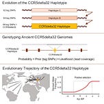 Anthropology.net