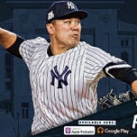 Bronx Pinstripes