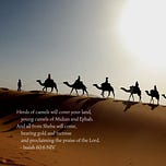 Daily Devotional For Women