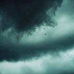 The Beautiful Disruption