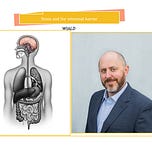 Sound Bites with Dr. Adam Rinde