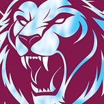 Aston Villa Review