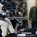 Bronx Pinstripes