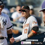 Bronx Pinstripes
