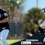 Bronx Pinstripes