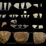 Anthropology.net