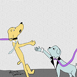 Don't Be a Dick to Your Dog