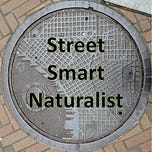 Street Smart Naturalist: Explorations of the Urban Kind