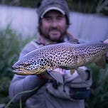 Ireland on the Fly