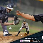 Bronx Pinstripes