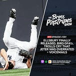 Bronx Pinstripes