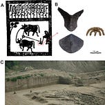 Anthropology.net