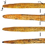 Anthropology.net
