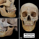 Anthropology.net