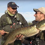 Ireland on the Fly