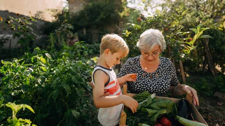 home gardens