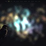 A raven perched on a bare branch against a dark sky scattered with small amber lights joined by faint lines.