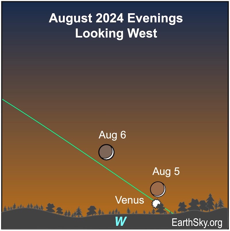Star chart with 2 thin crescent moons near a white starburst shape labeled Venus.