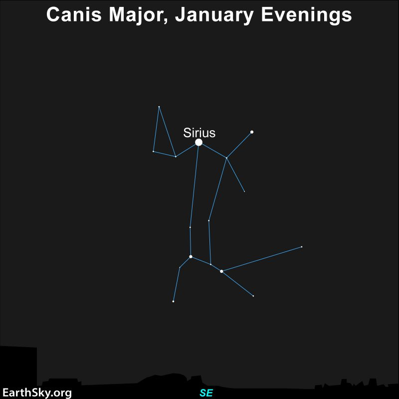 Dog-shaped constellation made from dots and lines, with larger white dot at neck labeled Sirius.