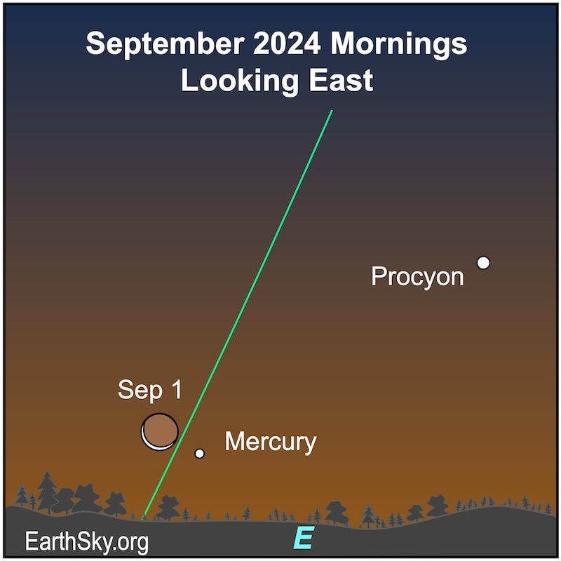 Moon on September 1 near Mercury and Procyon.