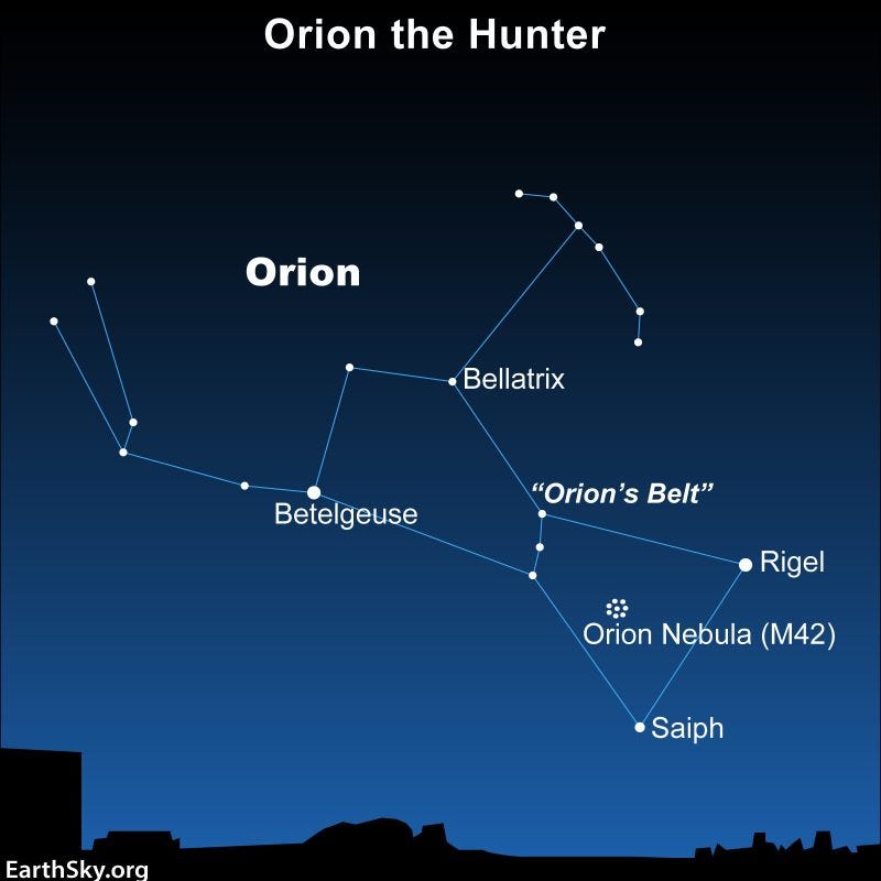 Star chart of constellation Orion with stars, Belt, and a nebula labeled.