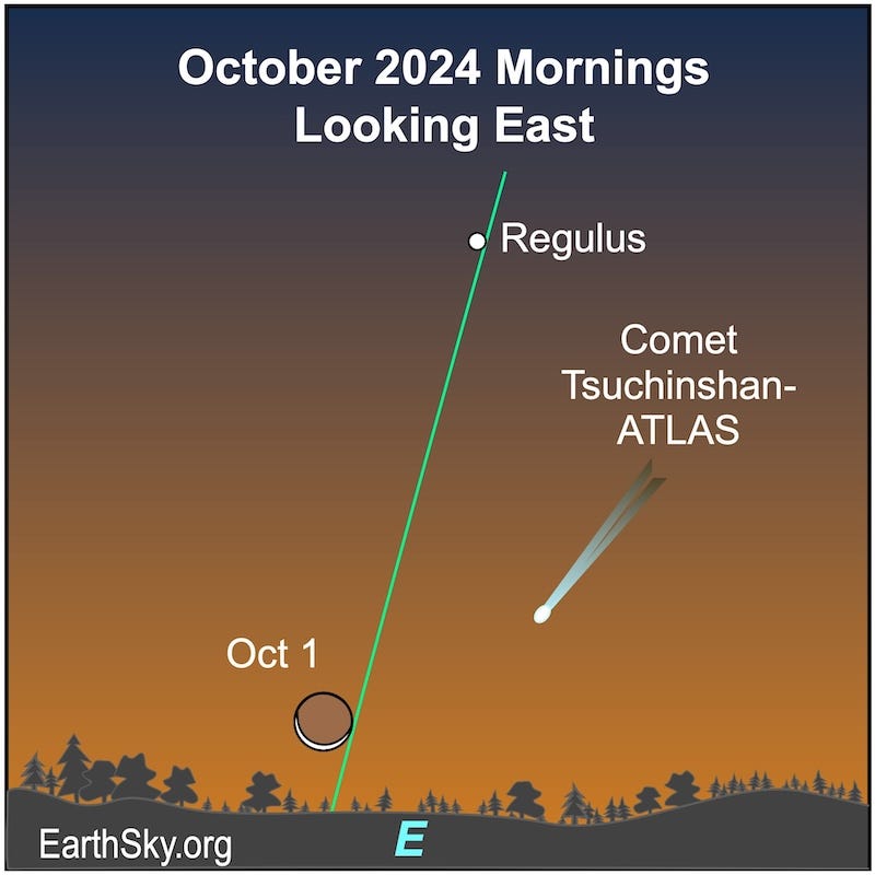 Visible planets and night sky guide: September and October