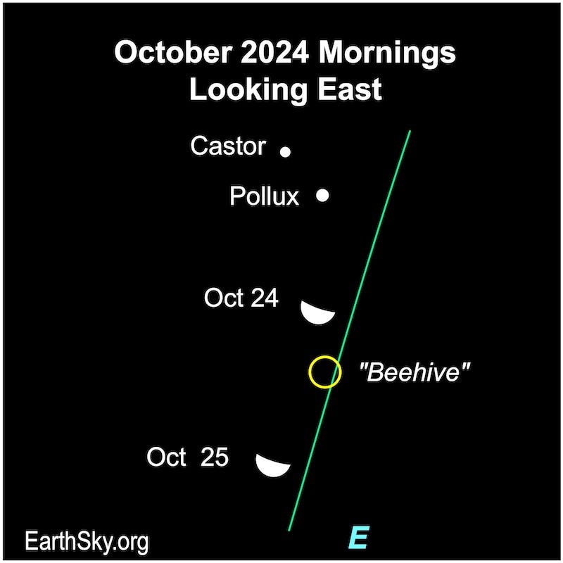 Moon on October 24 and 25 near the stars Pollux and Castor and a yellow circle where the Beehive star cluster is located.