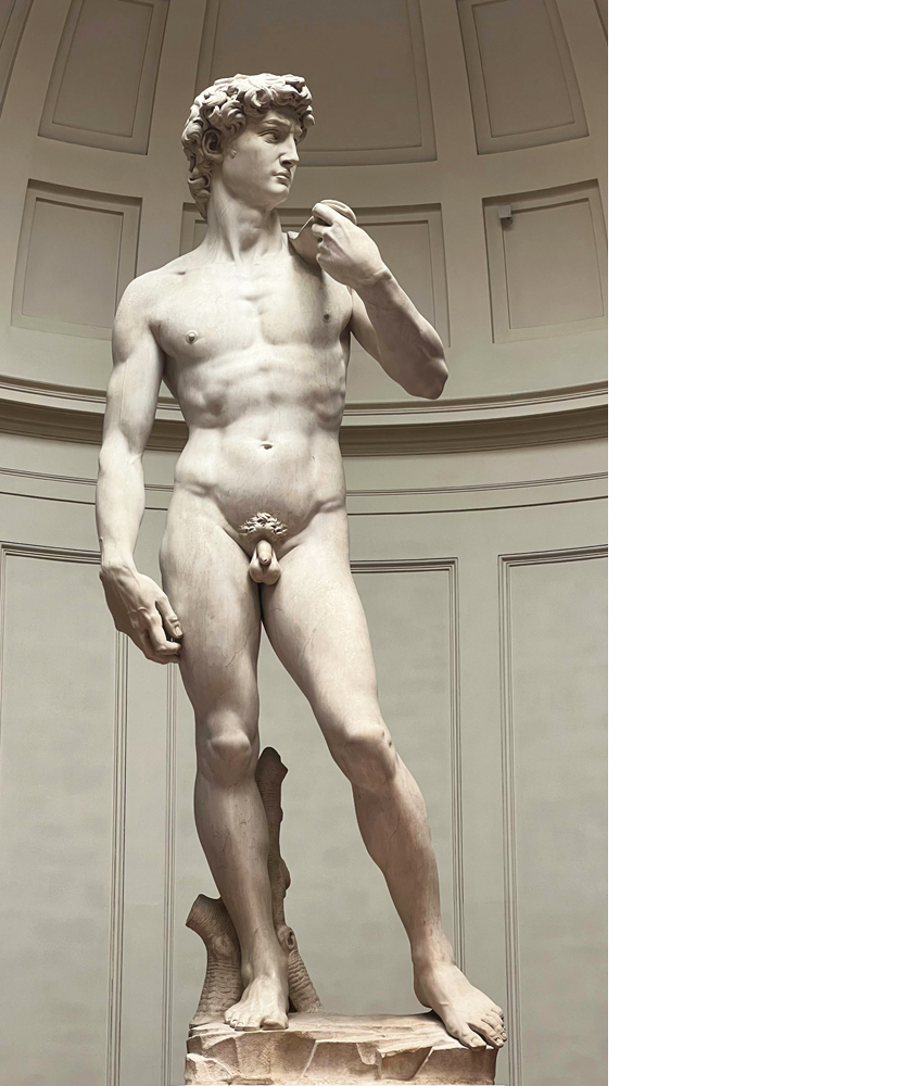 Michelangelo’s 'The David' retitled ’Toxic Masculinity #5’ in World Economic Forum’s Art Reset