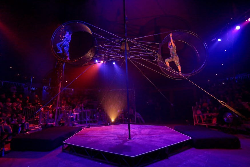 A circus show