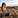 Avatar de User