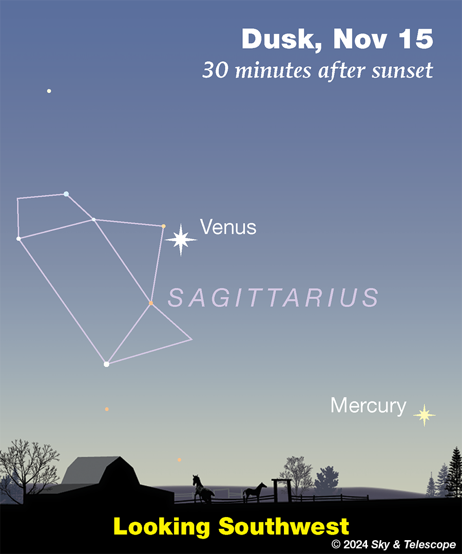 Venus and Mercury await in the western twilight this week (Nov. 8-15, 2024)