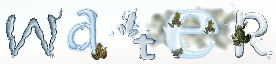 ai generated watery frog letters