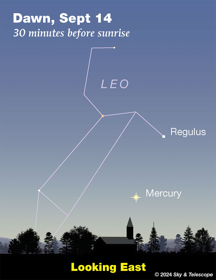 Regulus and Mercury low in the dawn, Sept 14, 2024