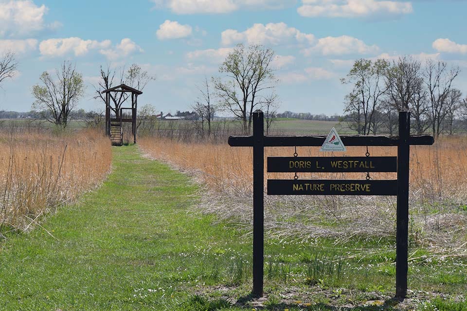 Forest Glen County Preserve - Vermilion County Conservation Foundation