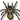 The Spider's avatar