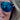 Lori P. Clark's avatar