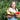 Marjory Wildcraft's avatar