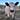 David Bunn's avatar