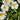 Starquake64's avatar