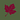 Shady Maples's avatar