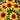Jayne Hayden's avatar