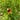 Prairy's avatar