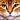 CatSpeaks's avatar