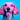 warty dog's avatar