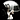 Visceral Adventure's avatar