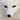 A Fox's avatar