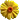 Soul's avatar