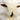 Will Whitman's avatar