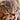 kitten seeking answers's avatar